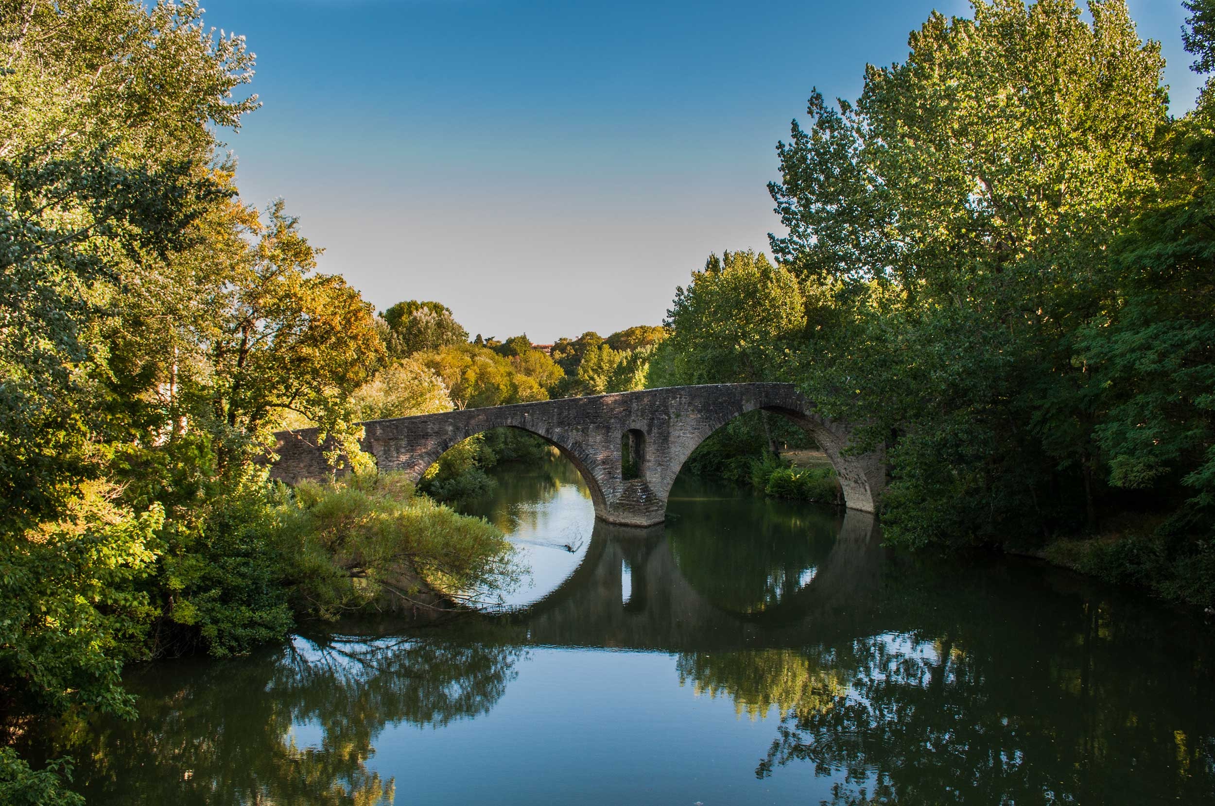 Puente de piedra sobre un río rodeado de árboles